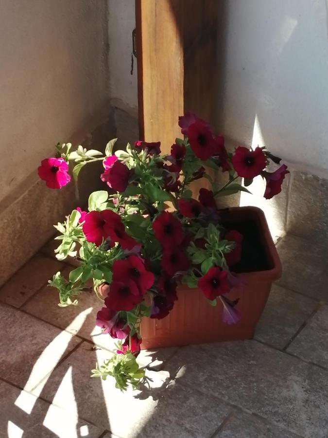 La Torre Appartement Norma Buitenkant foto